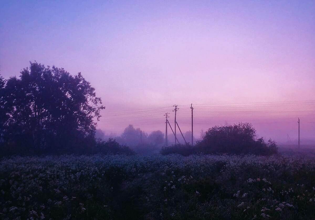 九游娱乐-开云体育官网:科技驱动下的体育热爱与信任之选